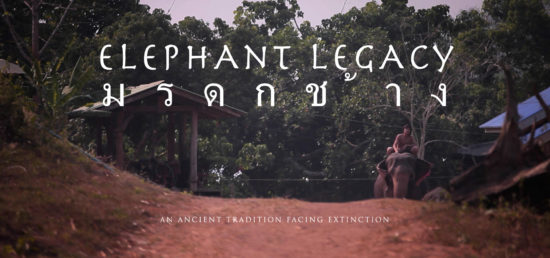 poster-elephant-legacy